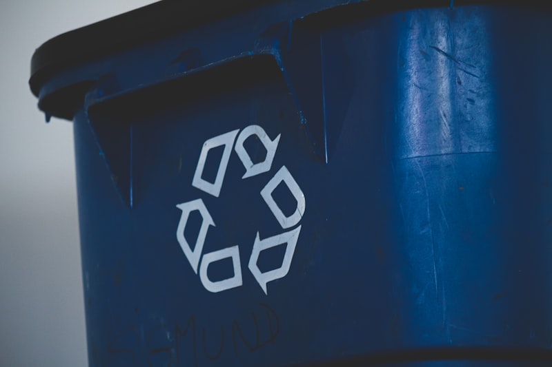 Domestic skip hire for home renovation